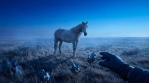 Plantes toxiques pour chevaux, incluant If et Laurier-rose, dangereuses pour la santé équine