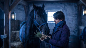 Remède de grand-mère pour cheval qui tousse, montrant un cheval dans un environnement sain